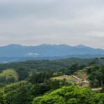 Thumbnail of new posts 127