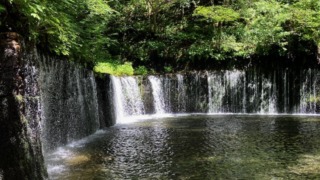 Thumbnail of post image 031