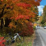 Thumbnail of new posts 071