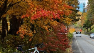 Thumbnail of post image 181