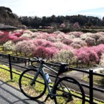 Thumbnail of new posts 060