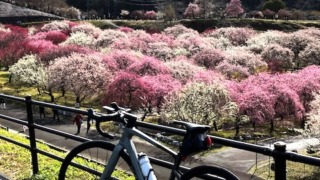 Thumbnail of post image 041